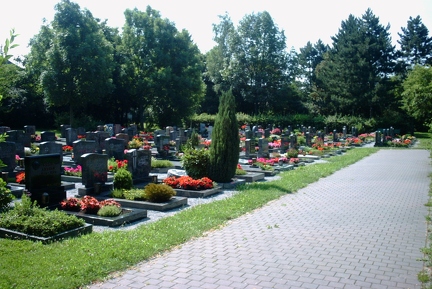 31.7.01 Friedhof-09