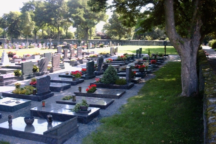 31.7.01 Friedhof-13
