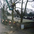 alle Friedhofsbaeume 2000-21