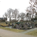 alle Friedhofsbaeume 2000-29