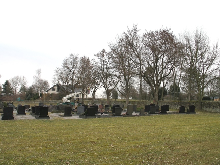 alle Friedhofsbaeume 2000-30