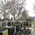 alle Friedhofsbaeume 2000-31