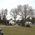alle Friedhofsbaeume 2000-34