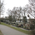 alle Friedhofsbaeume 2000-35