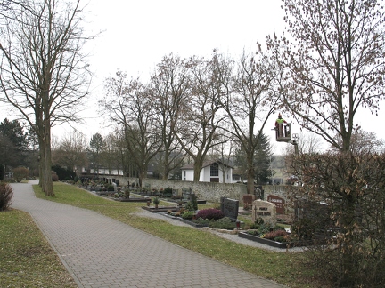 alle Friedhofsbaeume 2000-35