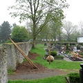 neue Friedhofsbaeume-Eschen-2005-12