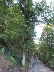 Radweg-R8- im Stein 2005-65