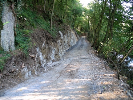 Radweg-R8- im Stein 2005-66